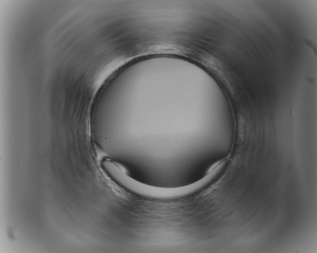 X0000098201328200805221532