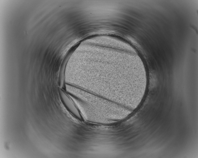 X0000098201329200805221532