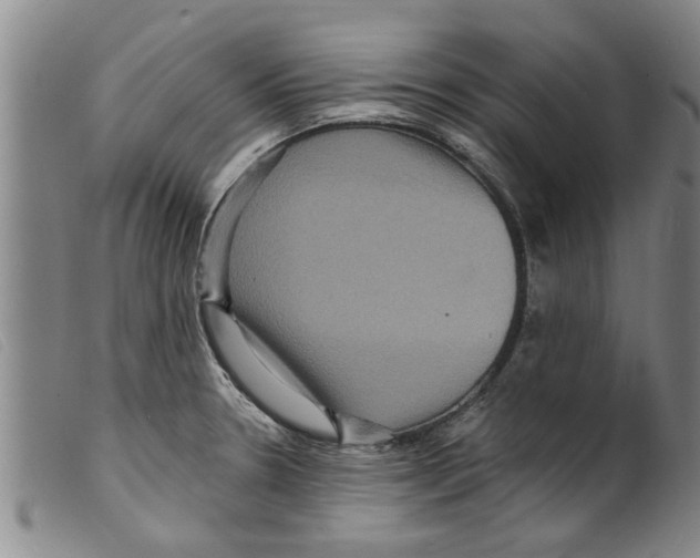 X0000098201330200805221532