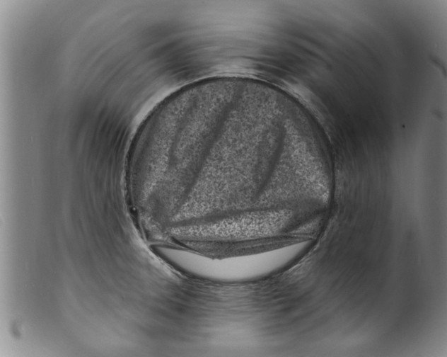 X0000098201331200805221532