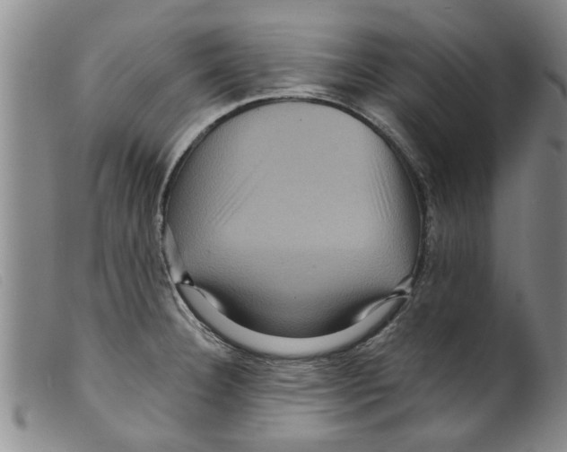 X0000098201332200805221532