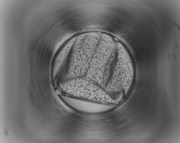X0000098201333200805221532