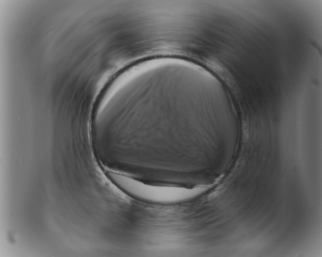 X0000098201334200805221532