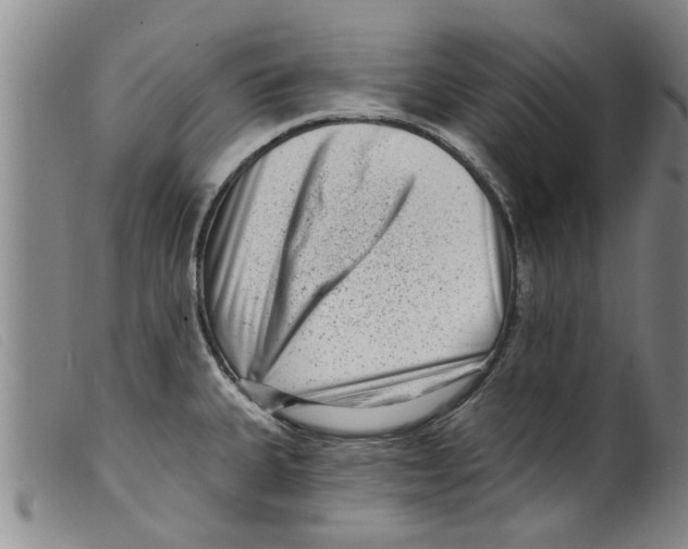 X0000098201335200805221532