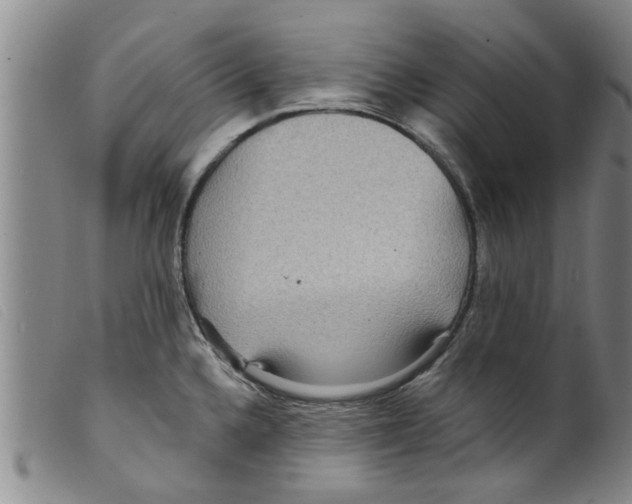 X0000098201336200805221532