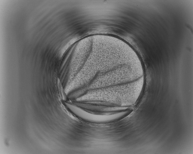 X0000098201337200805221532