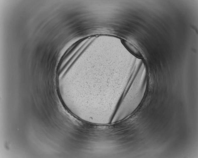 X0000098201339200805221532