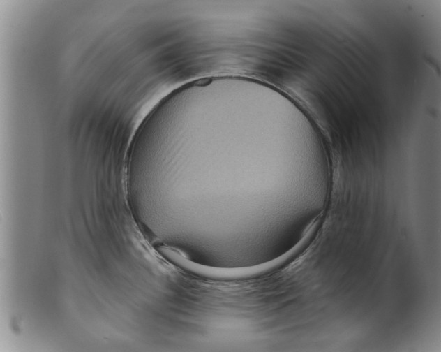 X0000098201340200805221532