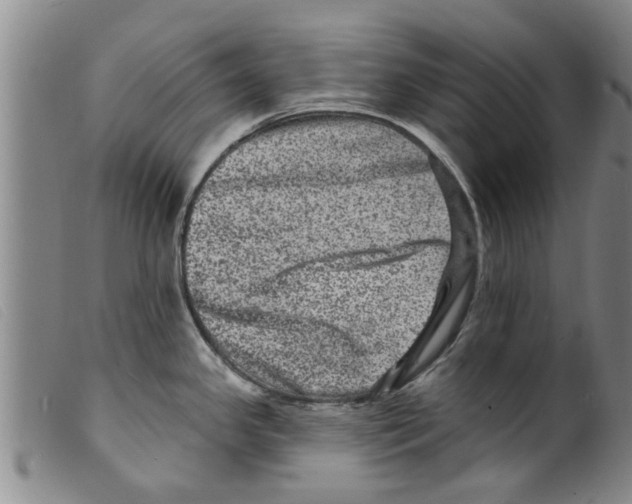 X0000098201341200805221532