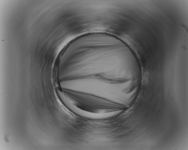 X0000098201342200805221532