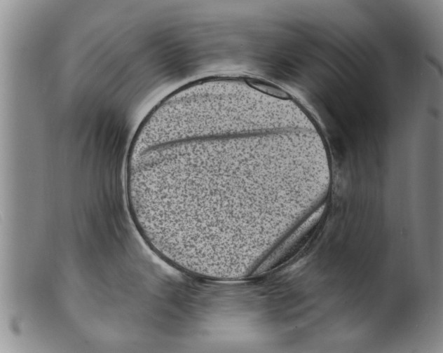 X0000098201343200805221532