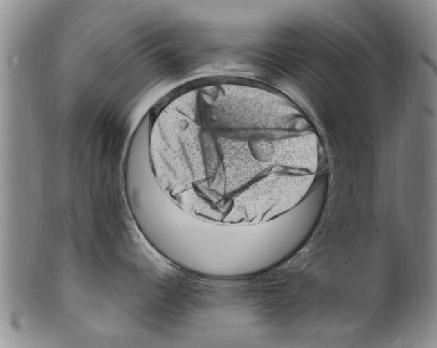 X0000098201344200805221532