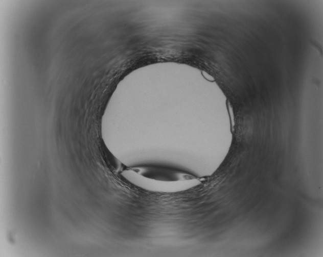 X0000098201345200805221532
