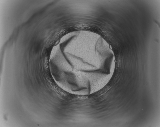 X0000098201346200805221532