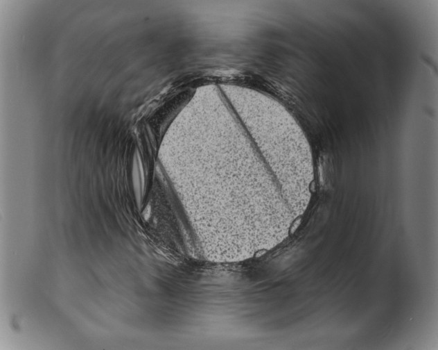 X0000098201347200805221532