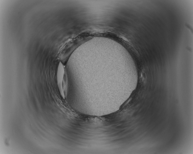 X0000098201348200805221532