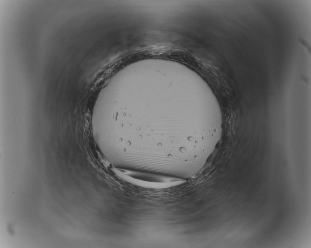 X0000098201349200805221532
