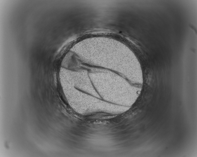X0000098201351200805221532