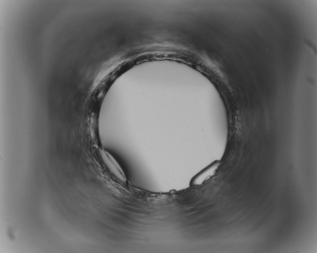 X0000098201352200805221532