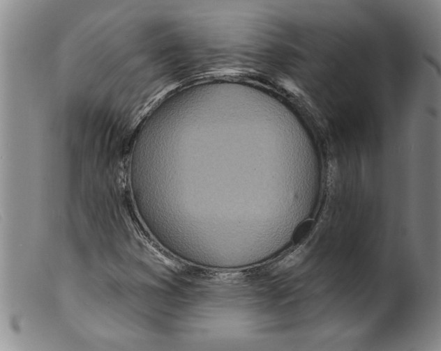 X0000098201353200805221532