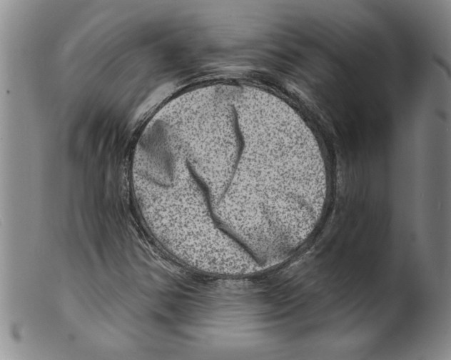X0000098201354200805221532