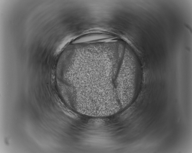 X0000098201355200805221532