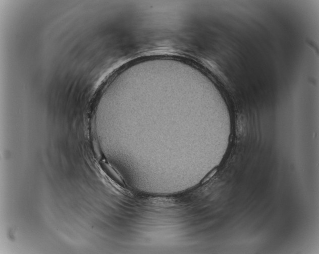 X0000098201356200805221532