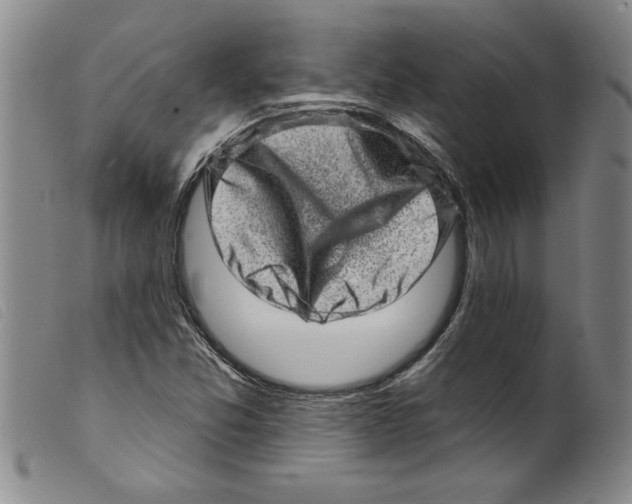 X0000098201357200805221532
