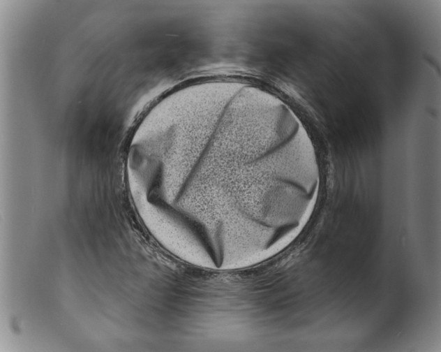 X0000098201358200805221532