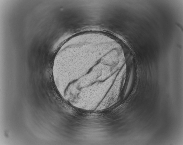 X0000098201359200805221532