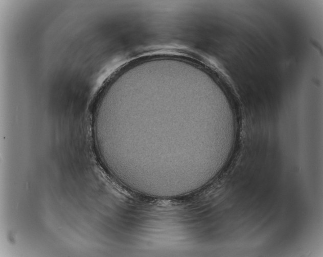 X0000098201360200805221532