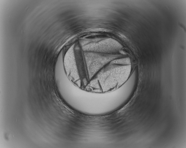 X0000098201361200805221532