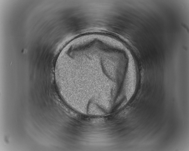 X0000098201363200805221532