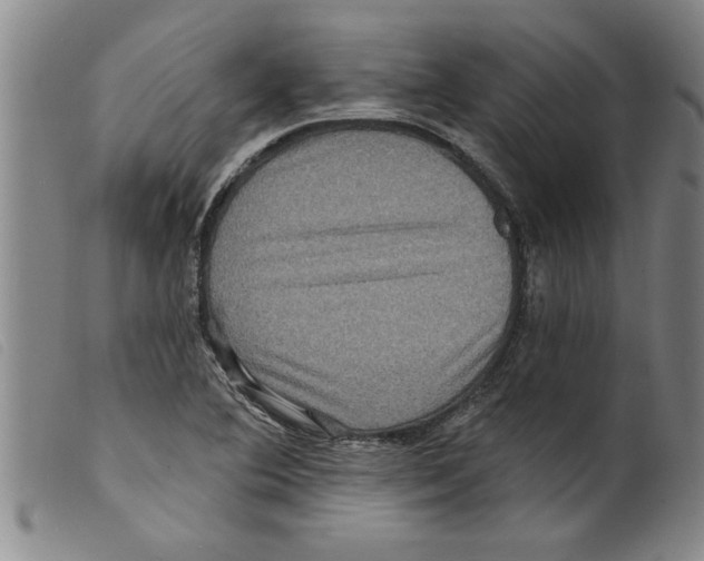 X0000098201364200805221532