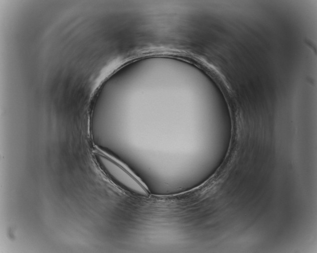 X0000098201365200805221531