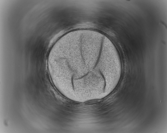 X0000098201366200805221531