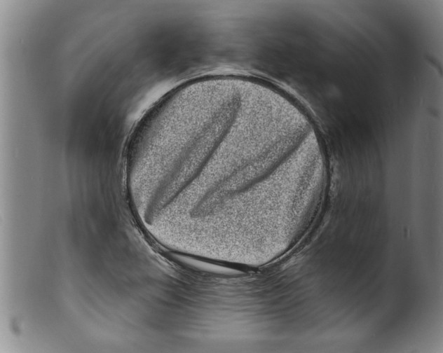 X0000098201367200805221531