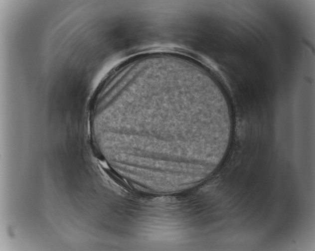 X0000098201368200805221531