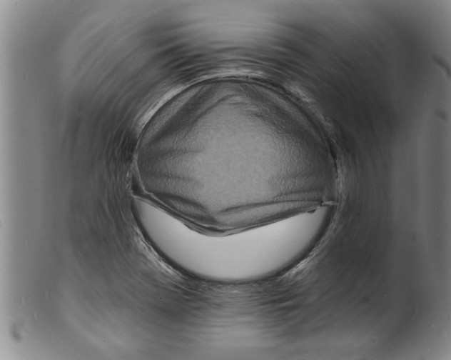 X0000098201369200805221531
