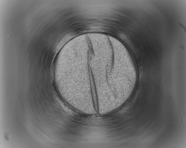 X0000098201370200805221531