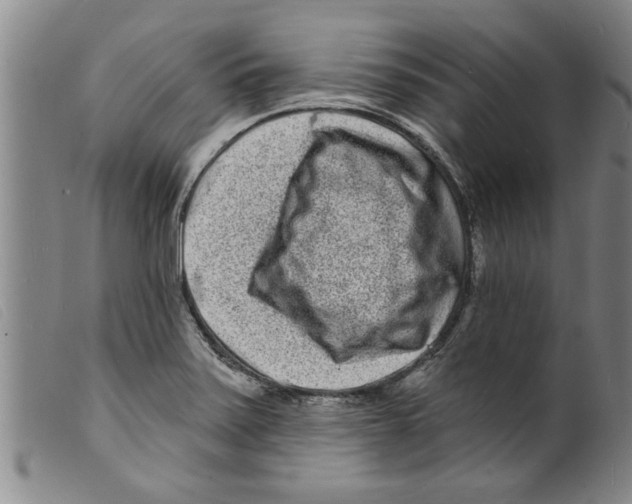 X0000098201371200805221531