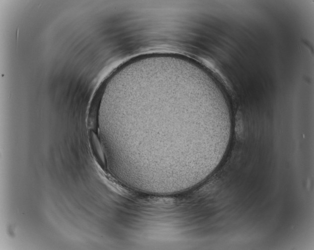 X0000098201372200805221531
