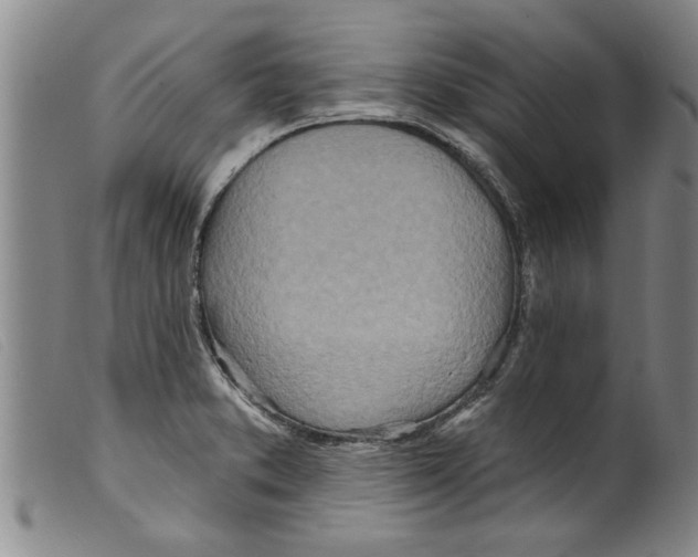 X0000098201373200805221531