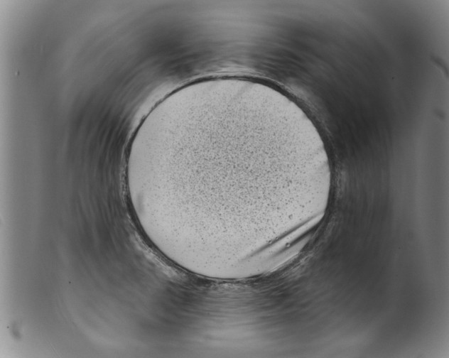 X0000098201374200805221531