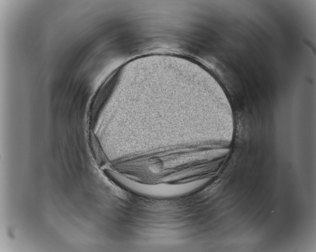 X0000098201375200805221531