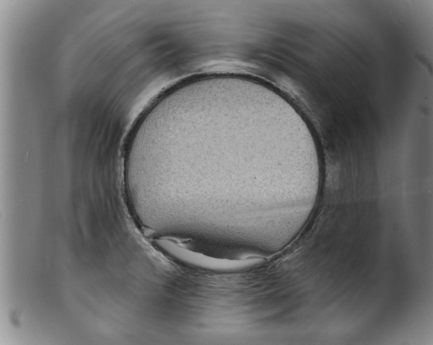 X0000098201376200805221531