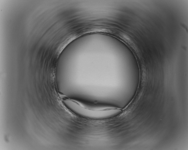 X0000098201377200805221531
