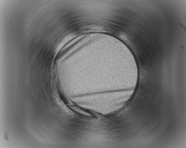 X0000098201378200805221531