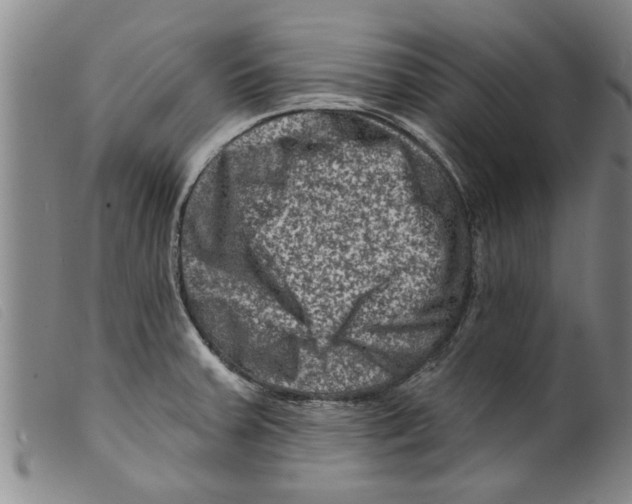 X0000098201379200805221531