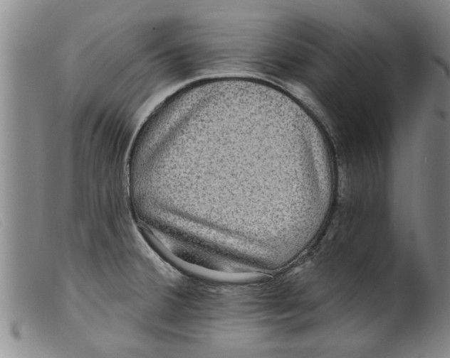 X0000098201380200805221531